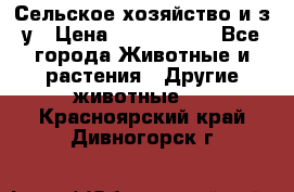 Сельское хозяйство и з/у › Цена ­ 2 500 000 - Все города Животные и растения » Другие животные   . Красноярский край,Дивногорск г.